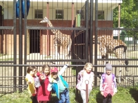 zoo_kau2017-04